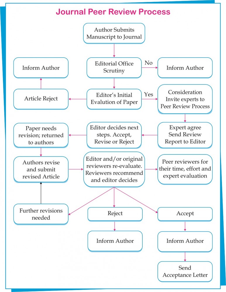 Article peer review process