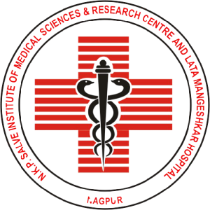 Logo of NKP Salve Institute of Medical Sciences and Research Centre